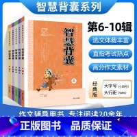 智慧背囊6-10辑 初中通用 [正版]时文选粹智慧背囊作文素材时文选萃语文小学初中高中版课外阅读书籍满分作文大全意林摘抄
