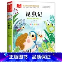 昆虫记 [正版]老师没头脑和不高兴任溶溶著全集注音版一年级二年级注音版浙江少儿出版社
