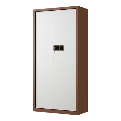 风雷动指纹电子保密柜钢制密码文件柜档案柜矮柜保密资料柜办公柜通门咖白色:钥匙指纹锁