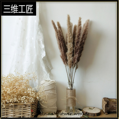北欧风芦苇ins真花干花花束装饰文艺清新道具软装摆件室内diy插花三维工匠原色芦苇（15支不带瓶）干花包