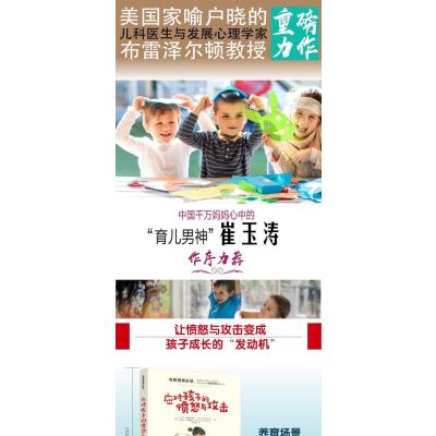 布教授有办法--应对孩子的愤怒与攻击