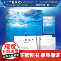 《十二射浮光》零度寂寞 著 新增主角少年视角番外 异国恋情·身世之谜·落魄少女·美国底层华裔二代 都市言情 力潮文创