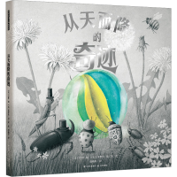 音像从天而降的奇迹(美)特里·范,(美)埃里克·范