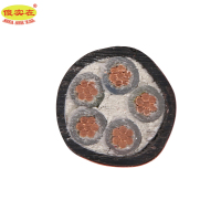 傻实在 电缆 国标全项保检ZC-YJV 5*10mm² 米