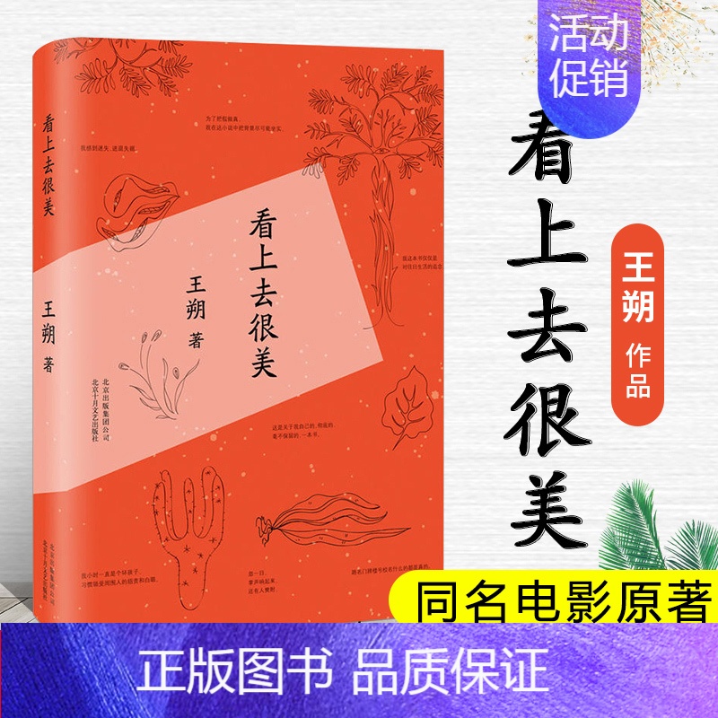 [正版] 看上去很美 王朔作品 致女儿书我是你爸爸一半是火焰一半是海水动物凶猛同作者中国现当代随笔散文小说书籍