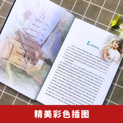 瓦尔登湖 英文 海豚