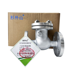 杉外山 304不锈钢旋启式法兰止回阀 个