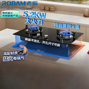 老板(Robam)[星辰系列]燃气灶家用双灶嵌入式煤气灶5.2kW可调节小尺寸灶具灶台猛火灶 20B2A天然气