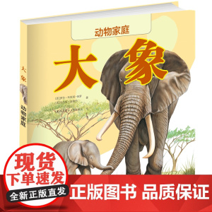 动物家庭:大象