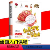 [正版]彩色铅笔从入门到精通 七彩绘工作室 素描绘画教程手绘入门彩色铅笔画基础入门教程零基础自学画画美术从零开始自学彩