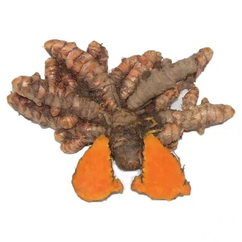 赛卡伊 现挖四川小黄姜新鲜姜黄产妇月子姜老姜五色染色姜生姜种子