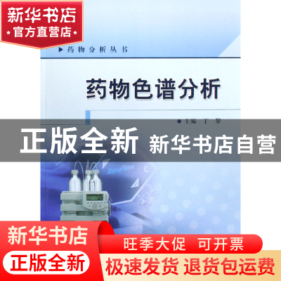 正版 药物色谱分析/药物分析丛书 丁黎 人民卫生 9787117101769