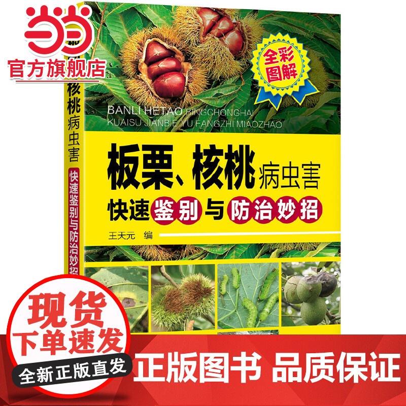 板栗、核桃病虫害快速鉴别与防治妙招 王天元 化学工业出版社 正版书籍