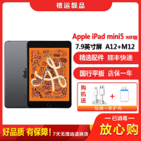 [二手95成新]Apple苹果平板 iPad mini5 WIFI版 灰色 64GB 7.9英寸屏拍照娱乐学习平板 国行