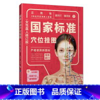 [正版]国家标准穴位挂图(女性真人修订版)睢明河 女性正面视角背面视角侧面视角针灸挂图经络穴位使用图册经腧穴定位按摩穴