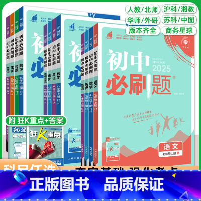 物理[教科版 九年级下 [正版]2025初中必刷题七八九年级上册下数学语文英语物理化学地理生物道法历史人教北华师外研沪苏