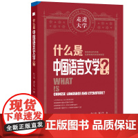 什么是中国语言文学 走进大学系列丛书