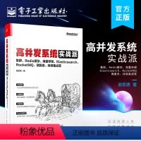 [正版] 高并发系统实战派 集群 Redis缓存 海量存储 Elasticsearch RocketMQ 微服务 持续