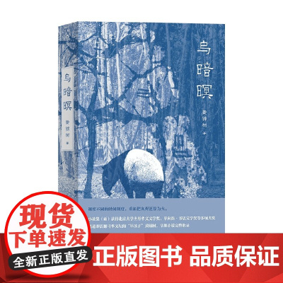 乌暗暝 黄锦树 著 文学