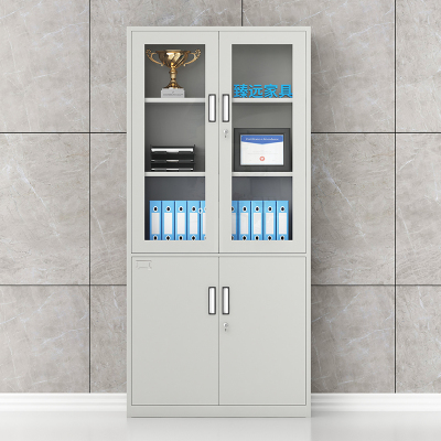 臻远 ZY-DQ 钢制办公文件柜铁皮柜资料档案储物柜 大器械文件柜