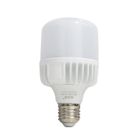 格瑞捷 LED灯泡(柱形)15W Φ70 E27 AC165-265V 白 Φ70-15W 只