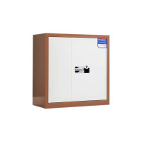 阿拉贡保密柜财务档案柜文件柜办公室资料储物柜保险柜矮柜咖白-国保指纹锁