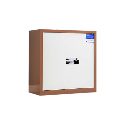 阿拉贡保密柜财务档案柜文件柜办公室资料储物柜保险柜矮柜咖白-国保指纹锁