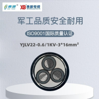 秦源牌 YJLV22-0.6/1KV-3*16mm² 铝芯低压电力电缆 元/米 定制商品 联系客服