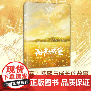 阳光城堡 校园青春文学情感与成长的故事 言情现代文学小说 高中生初中生课外书广东人民出版社