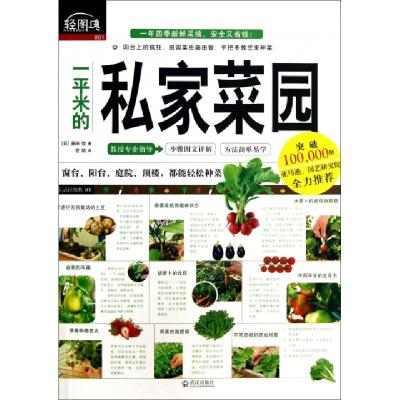 正版新书]一平米的私家菜园/轻图典(日)藤田智|译者:管婧9787543