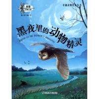 正版新书]黑夜里的动物精灵/奇趣动物绘本丛书陈奇9787532897063