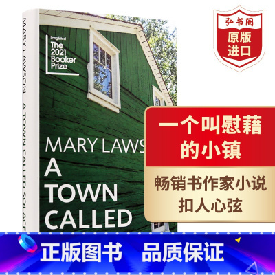 [正版]一个叫慰藉的小镇 英文原版 A Town Called Solace 玛丽罗森 2021布克奖长名单 当代