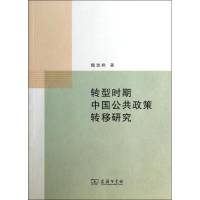 音像转型时期中国公共政策转移研究魏淑艳