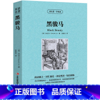 [正版]黑骏马中英文双语书籍名著读物英汉对照小说全套阅读 休厄尔原著 读名著学英语 高初中生课外阅读zy