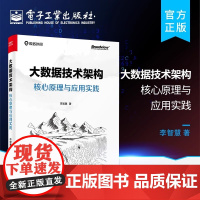 大数据技术架构 核心原理与应用实践 李智慧 计算机编程初学者了解大数据技术入门指南网络与互联大数据行业从业人员参考阅读书