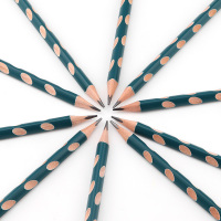 宝克(BAOKE)PL1701三角HB洞洞铅笔学生练字矫正握姿学习文具用品 墨绿色笔杆 10支/盒 1盒