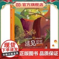 舌尖上的世界:遇见可可