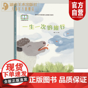 新时代中国原创儿童图画书系列:一生一次的旅行宋芳 文/绘