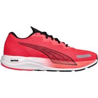彪马(Puma)男子跑步鞋缓震防滑夜跑透气专业训练运动鞋