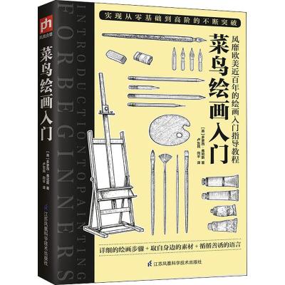 正版书籍 菜鸟绘画入 多萝西·弗尼斯 绘画爱好者自学教材 手绘素描基础入 简笔画手绘素描人物静物教材青少年绘画