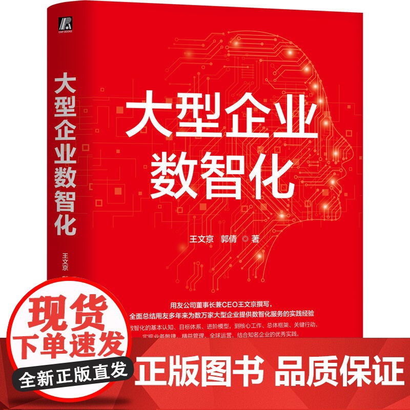 大型企业数智化 王文京 郭倩 AI BIP 用友 大模型 数字化 数智化 智能体 企业管理 数字化转型 敏捷