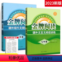 [正版]金牌阅读七年级文言文+现代文阅读训练全套2本 初中语文课外阅读专项训练 初1初一文言文阅读点拨训练 初中语文现