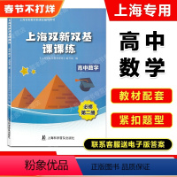 [正版]上海双新双基课课练 高中数学 必修2 上海市新课改配套辅导用书 高中数学 高一年级适用 高一下册第二学期