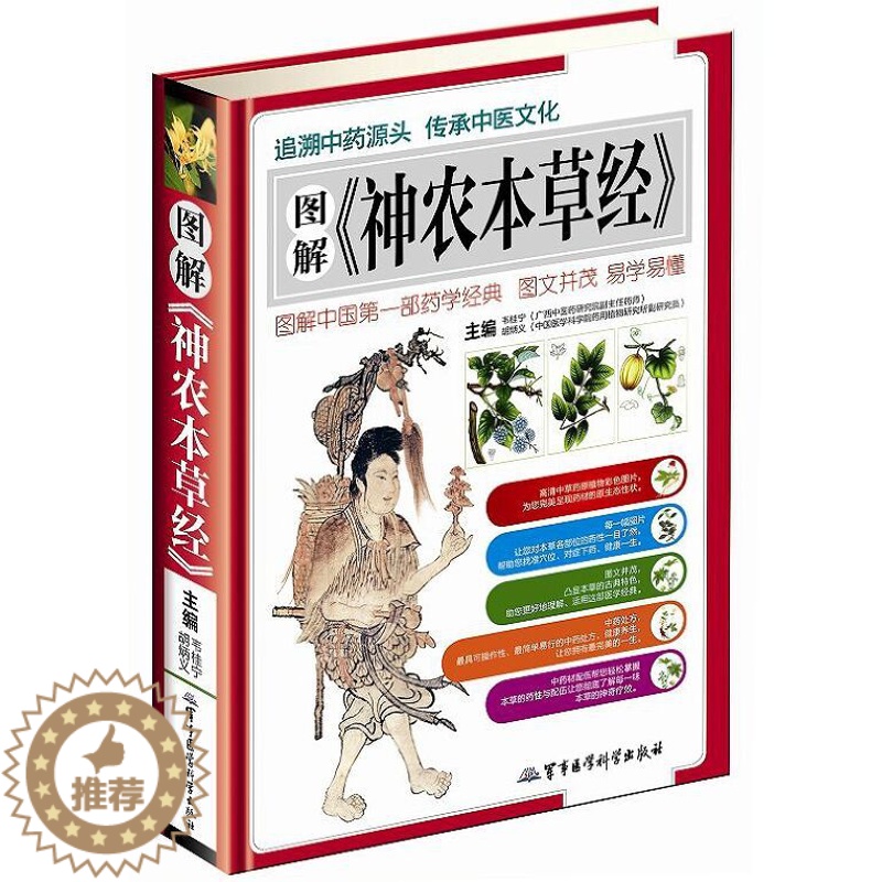 [醉染正版]图解神农本草经彩图版精装 神农本草经原著原文白话今释现代研究配伍应用药膳食疗 正版中草药彩色图谱中医养生保健