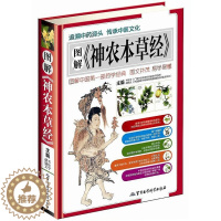 [醉染正版]图解神农本草经彩图版精装 神农本草经原著原文白话今释现代研究配伍应用药膳食疗 正版中草药彩色图谱中医养生保健