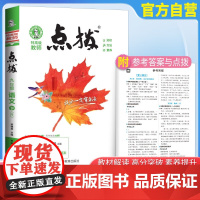 2025春特高级教师点拨九年级语文下册人教版初三9年级同步教材全解全析完全解读中学特高级教师讲解出版