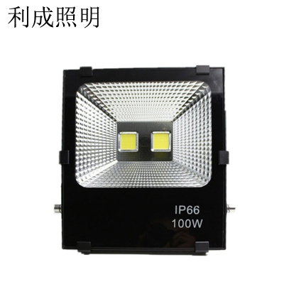 利成照明 投射灯 LED-100W
