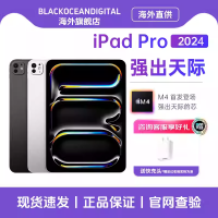 苹果 Apple 2024款 iPad Pro 11英寸 512G WIFI版 苹果平板电脑 深空黑色 资源机国际版