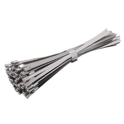 瑞季勤 不锈钢扎带 4.6*300mm 根