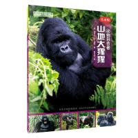 正版新书]动物目击者系列:山地大猩猩 儿童版丽贝卡·E.赫希9787